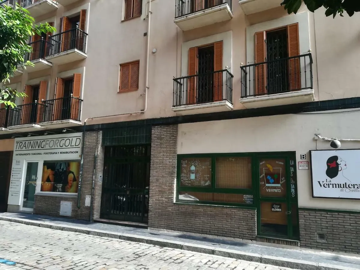 Luxury Maestranza Donkey Apartment Seville